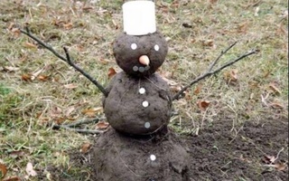 Мутахассис башорати: «Ўзбекистонда қиш қуруқ келиши мумкин»