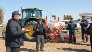 Чироқчида чигит экиш бошланди