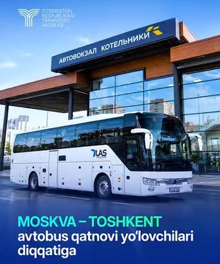 Пассажиров рейсов «Москва - Ташкент» предупредили о мошенниках, продающих билеты на нелегальные автобусы