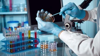 Hindistonda zaharli moddalar bo‘lgan yana ikkita sirop topildi