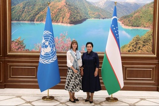 Программа развития ООН продолжит активно реализовывать проекты в Узбекистане