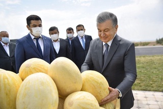 Янги боғлар билан бирга ҳудудларга илм-фан, инновациялар кириб келмоқда