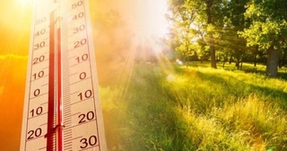 Узгидромет: к концу рабочей недели температура поднимется до +39 градусов