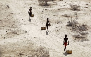 Ер юзида 4,4 миллиарддан ортиқ одам сувдан мунтазам фойдалана олмаяпти – тадқиқот