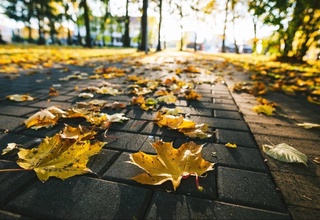 Weather forecast for October 28th