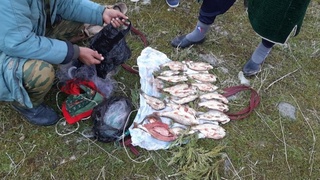 Суд қашқадарёдалик броконьерга икки юзи йигирма уч миллион сўм жарима солди