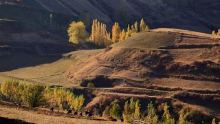 Айрим жойларда чанг-тўзонлар кузатилиши мумкин — Ўзгидромет