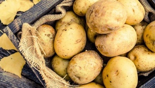 Oʻzbekistonga kartoshka importi faqat Qozogʻistonga bogʻlanib qolmagan — Qishloq xoʻjaligi vazirligi