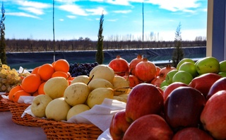 O'zbekistonda oziq-ovqat mahsulotlari yo'qotilishini kamaytirish strategiyasi ishlab chiqildi