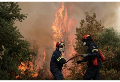 Tabiiy ofatlar yetkazadigan zarar 2025-yilda 40 foizga kamaydi