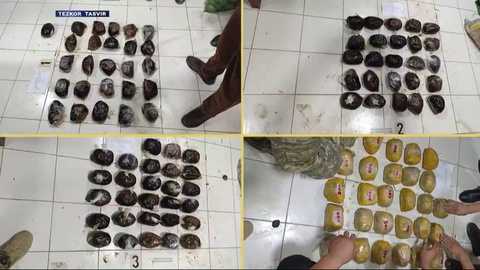 Tojikistondan olib oʻtilgan 100 kilodan ortiq narkotik moddalar aniqlandi