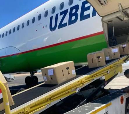 Аз Миср аввалин партияи доруҳо бар зидди гепатити «С» дар соли 2025 оварда шуд