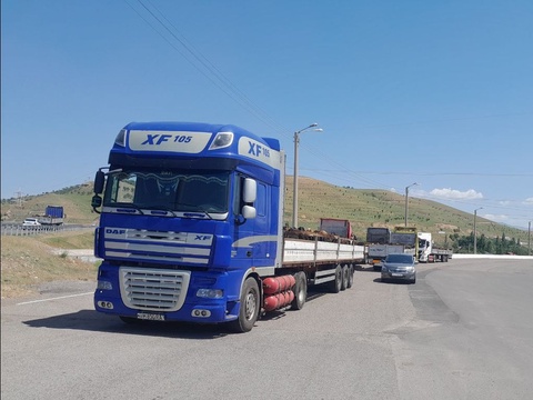 Bo‘stonliqda 1 200 bosh qo‘y bilan bog‘liq noqonuniy holat o‘rganildi