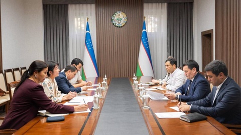 Uzbekistan and UNDP discussed promising projects in the field of "green" transport