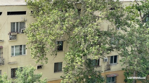 Тошкентда 16 ёшли қиз эҳтиётсизлиги сабаб 3-қаватдан йиқилиб тушгани айтилмоқда