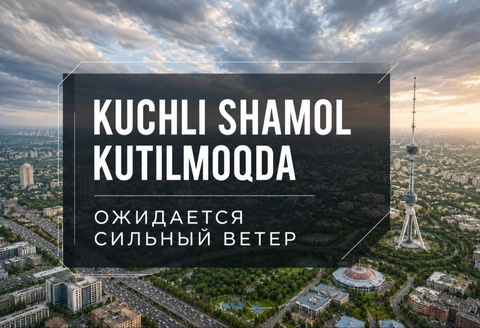 В Ташкенте и регионах ожидаются сильный ветер и пыльная буря
