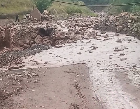 Surxondaryo togʻ va adirliklariga sel keldi