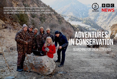 На телеканале BBC покажут документальный фильм о снежном барсе в Узбекистане