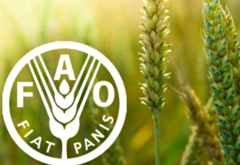 ФАО аз тасмими ҳамчун Рӯзи байналмилалии ҳифзи растаниҳо эълон шудани 12 май  истиқбол мекунад