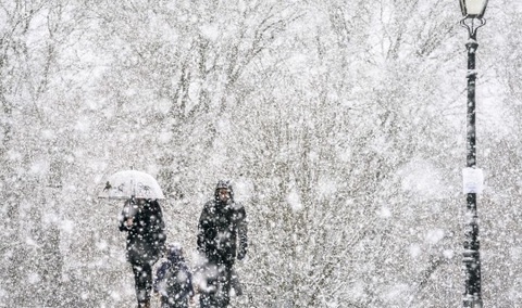 26 февраль кунги об-ҳаво маълумоти эълон қилинди