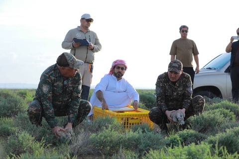 В дикую природу выпущено 2400 дроф