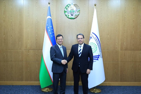 Узбекистан и Япония обсудили расширение сотрудничества в сфере высшего образования и науки