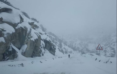 Республиканинг 6 та вилоятида қор кўчиш хавфи эълон қилинди