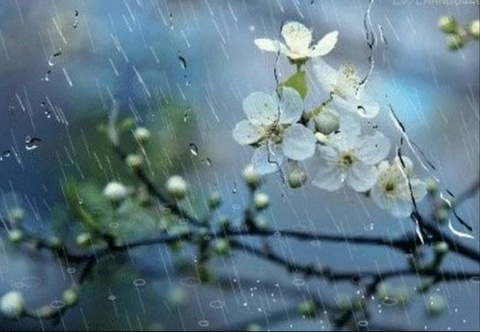 Прогноз погоды на день 9 марта