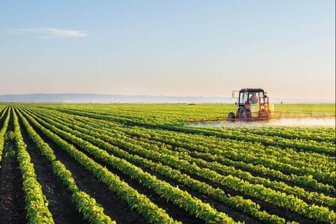 Қишлоқ хўжалиги ерларини асраш — устувор вазифа