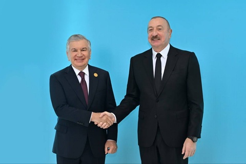 Өзбекстан Президенті Түркі мемлекеттері ұйымы Мемлекет басшыларының кеңесіне қатысты