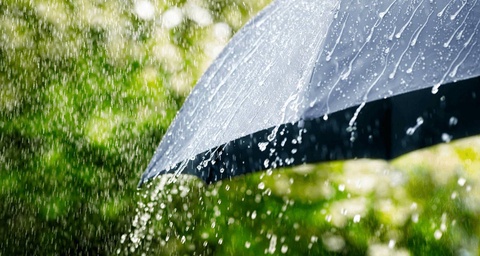 В Узбекистане прогнозируется резкая смена погоды: от жары к дождям и похолоданию до +13 градусов