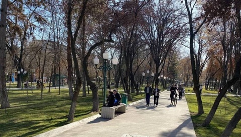 Сухо и тепло: на выходных в Узбекистане потеплеет до +15 градусов