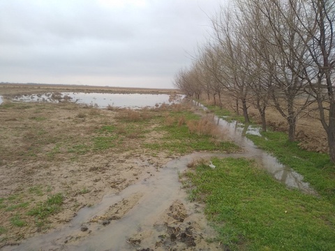 15 mingdan ortiq holatda suv isrof boʻlishining oldi olindi