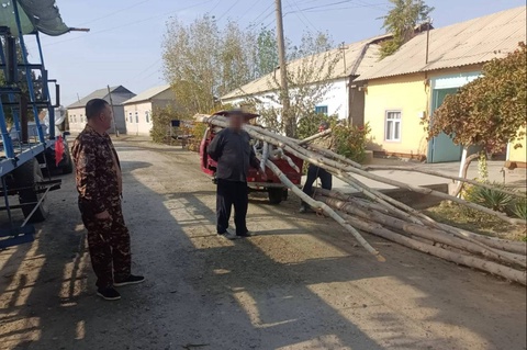 В Бухарской области руководитель фермерского хозяйства привлечен к ответственности за незаконную вырубку 17 тополей