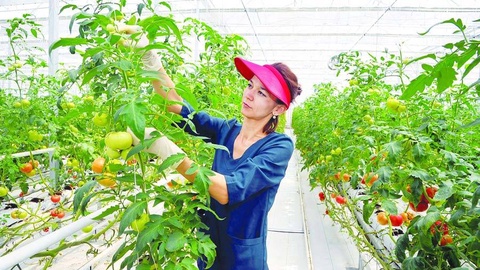 Каракалпакстан: инициативы и возможности