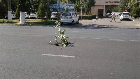 Автомобил йўлларидаги носозлик учун ким жавобгар?