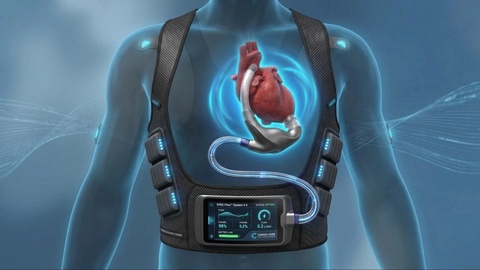 Olimlar yurak saratonining kam uchrashi sababini aniqladi