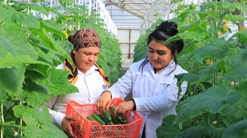 Вектор развития малых сельхозпредприятий