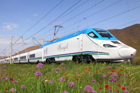 Пойыз билеттерін алыпсатарлар мүлде сатып ала алмайды —«Ўзтемирйўлйўловчи»