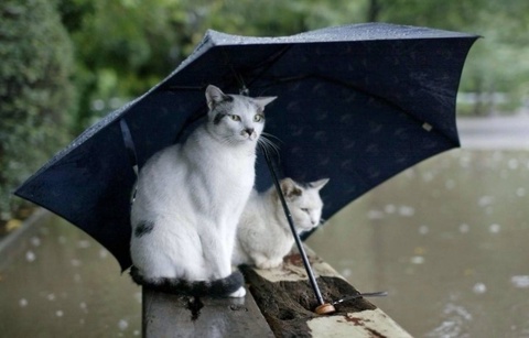 Прогноз погоды на день 22 апреля