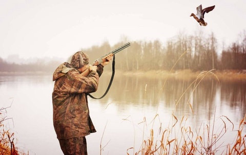 Qizil kitobga kiritilgan hayvonlarni tutishga moratoriy joriy etish taklif qilinmoqda