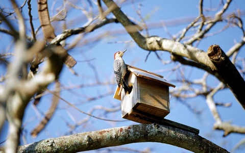 Прогноз погоды на день 14 февраля