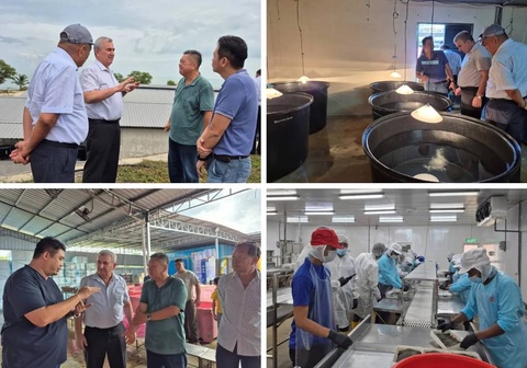 The leading Malaysian shrimp farming company is ready to establish cooperation with Uzbekistan