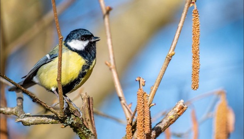 В Узбекистане на выходных ожидается повышение температуры до +22 градусов