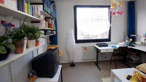 1-босқич талабаларидан ижара тўловини қоплашга онлайн аризалар қабул қилинмоқда