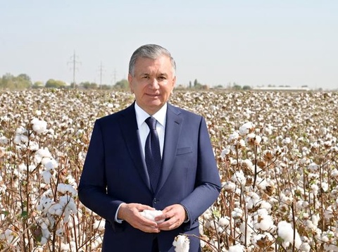 O'zbekistonda paxta qulligi tugadi, terim endi “jazo” emas — Corriere della Sera