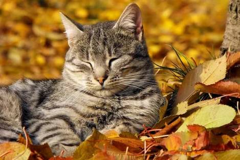 Узгидромет: узбекистанцев ждут теплые выходные до +25 градусов