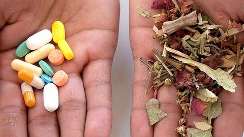 Фармацевтика и народная медицина: на пороге обновления