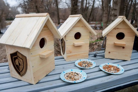 В Узбекистане 3 февраля пройдет акция «Помощь птицам зимой»