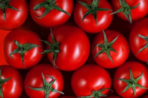 Аз ҳама бештар Ӯзбекистон ба Русия помидор содир кардааст